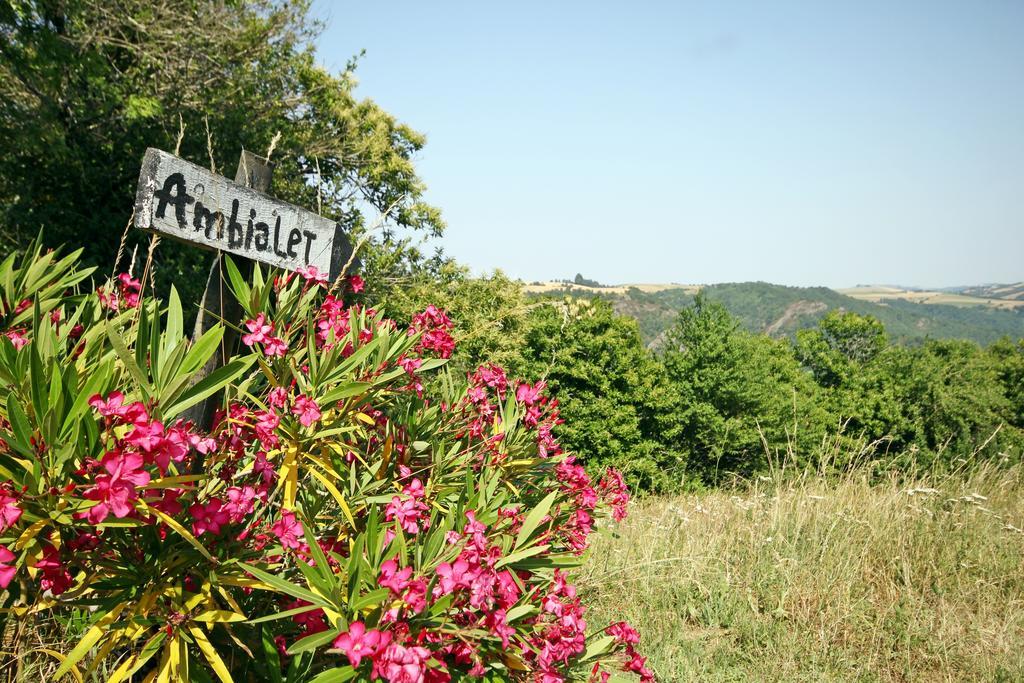 Camping Domaine Vallee Du Tarn Sn Saint-Cirgue エクステリア 写真