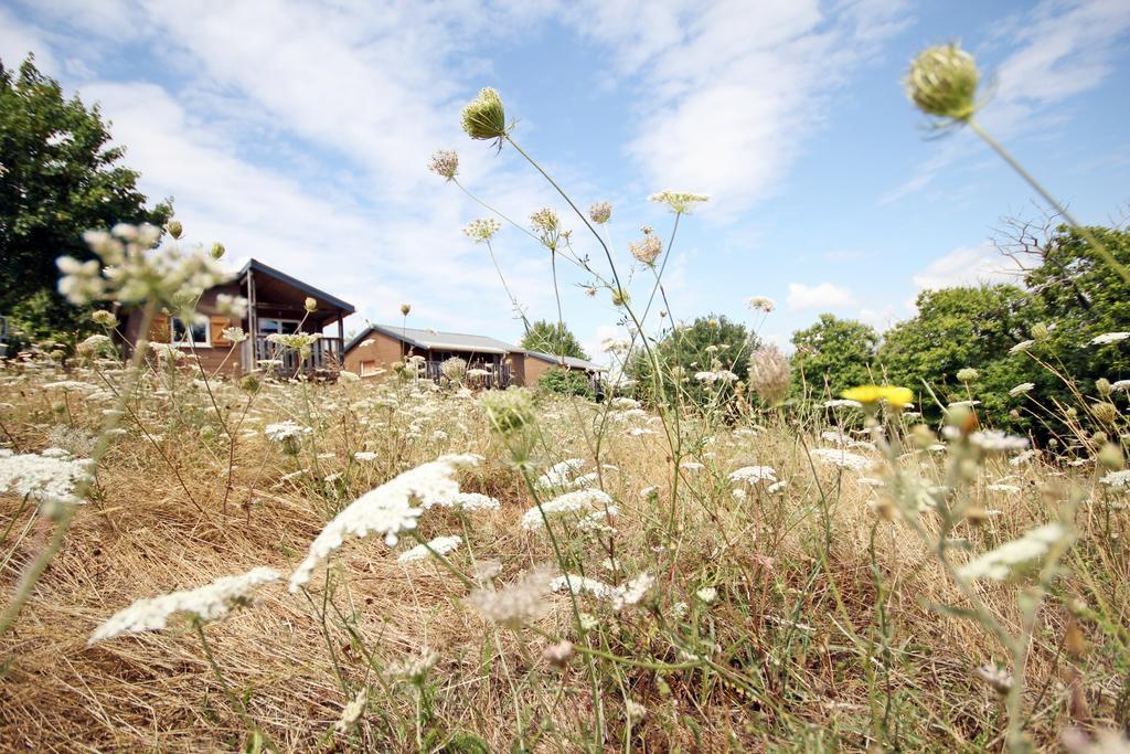 Camping Domaine Vallee Du Tarn Sn Saint-Cirgue エクステリア 写真