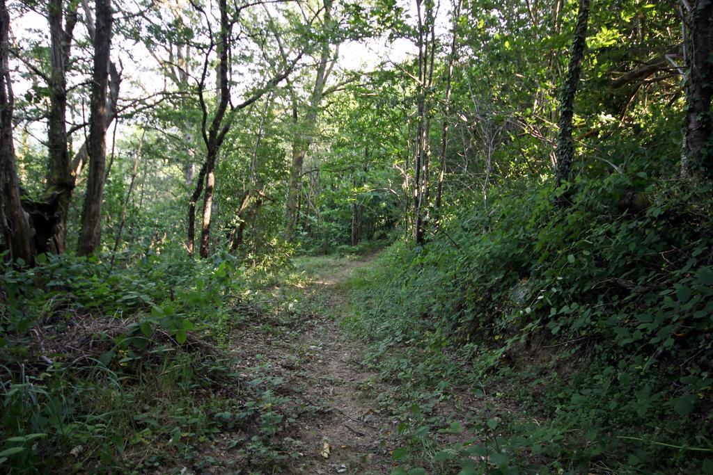 Camping Domaine Vallee Du Tarn Sn Saint-Cirgue エクステリア 写真