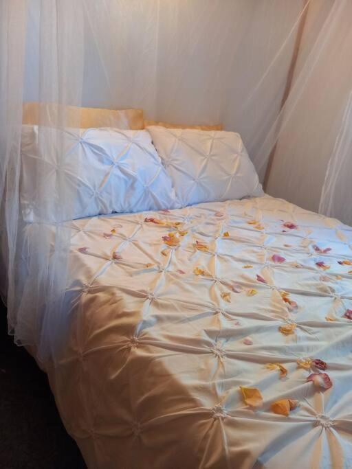 Camping Domaine Vallee Du Tarn Sn Saint-Cirgue エクステリア 写真